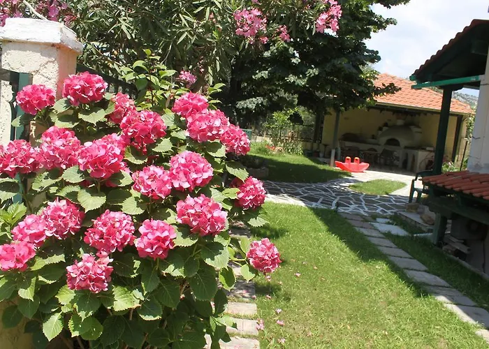 Lina Apartamento
